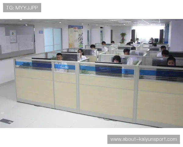 开云Kaiyun备用平台优化资源配置提升系统运行效率