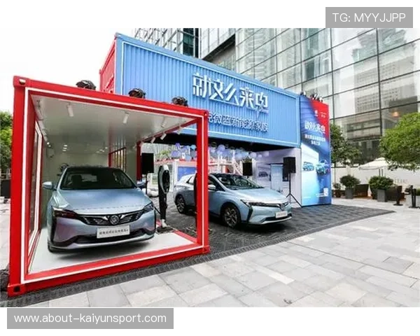 揭秘开云体育官网首页的安全性与可靠性